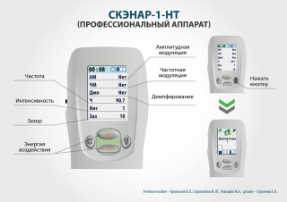 СКЭНАР-1-НТ (исполнение 01)  в Томске купить Нейродэнс ПКМ официальный сайт - denasdevice.ru 